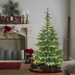 PE/PVC Christmas Tree in 5 to 8 ft - Holiday Decorations