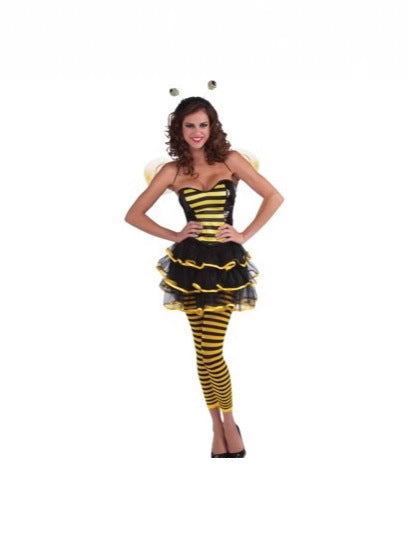Bee and Ladybug Costume Set