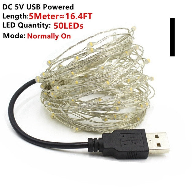 Fairy Lights LED String for Holidays & Home Décor